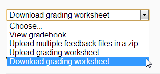 ../../_images/downloadgradingworksheet.png